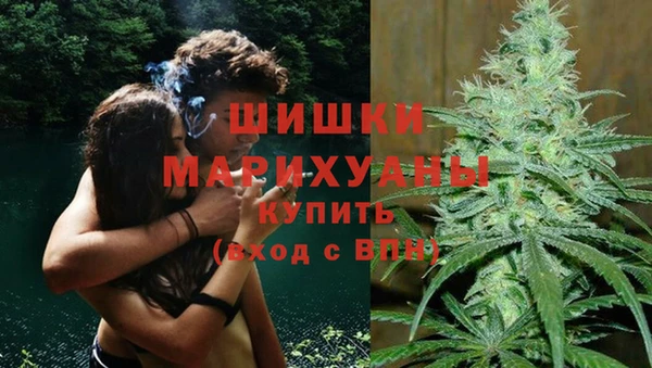 ГАЛЛЮЦИНОГЕННЫЕ ГРИБЫ Инта