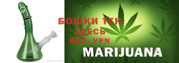 ГАЛЛЮЦИНОГЕННЫЕ ГРИБЫ Инта