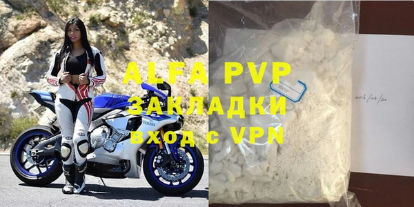 ГАЛЛЮЦИНОГЕННЫЕ ГРИБЫ Инта