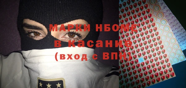 ГАЛЛЮЦИНОГЕННЫЕ ГРИБЫ Инта