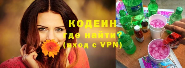 ГАЛЛЮЦИНОГЕННЫЕ ГРИБЫ Инта