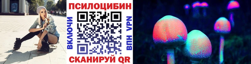 Купить где  Шелехов  Псилоцибиновые грибы GOLDEN TEACHER 